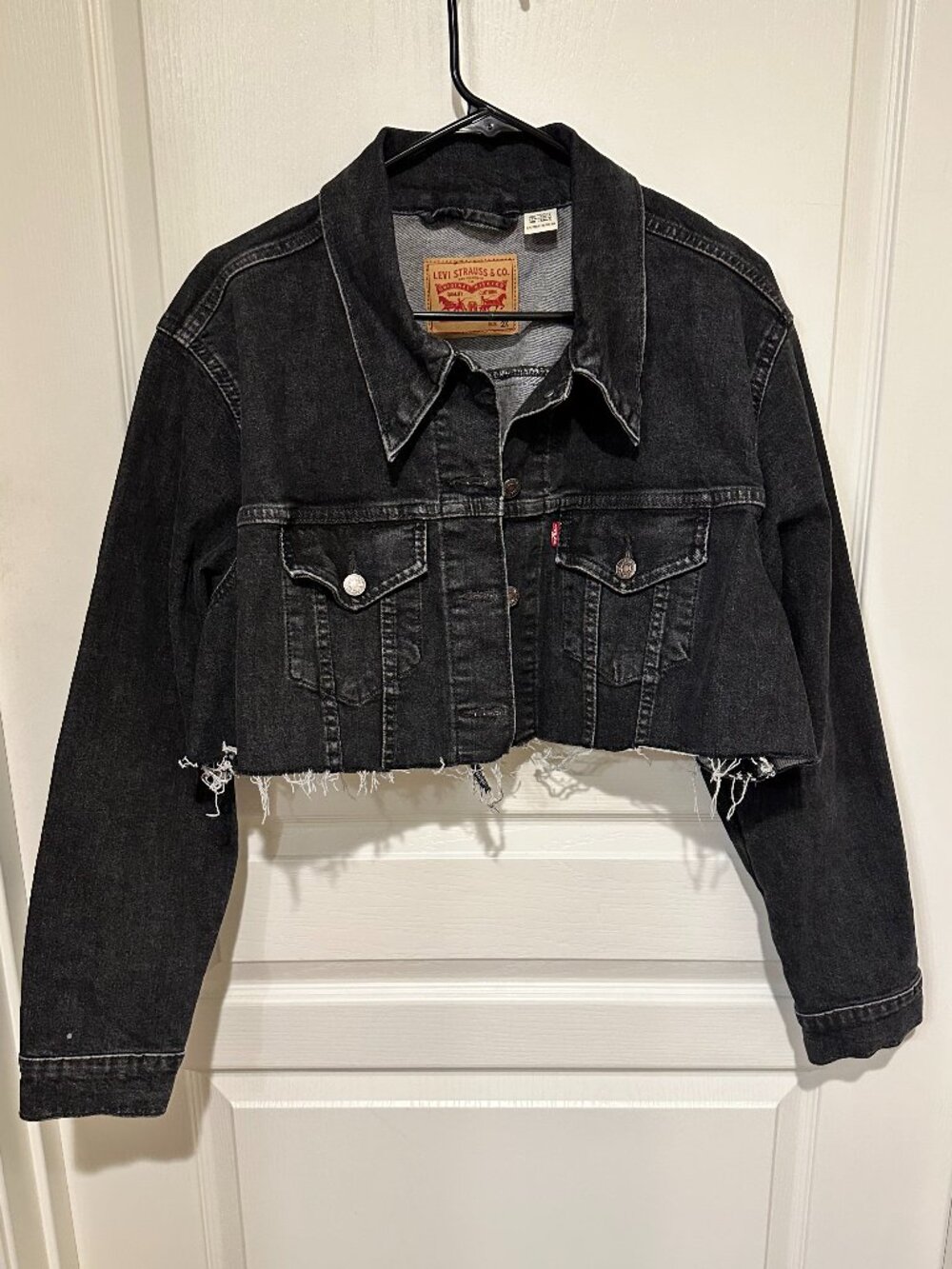 Ex-boyfriend Fringe Trucker Jacket (DIY Cropped) - Size 2x
